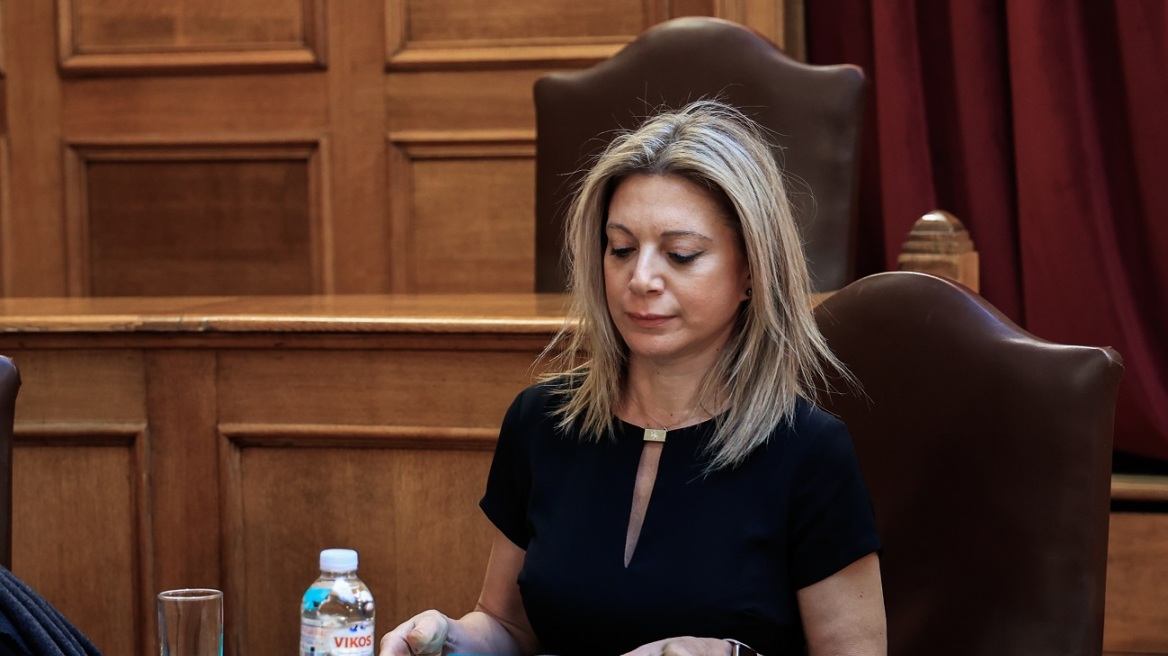 Μαρία Καρυστιανού: Μίλησε στο Ευρωκοινοβούλιο