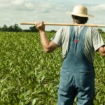 ΟΠΕΚΕΠΕ: Πληρώνονται δις ευρώ στους αγρότες – Πότε θα τα πάρουν