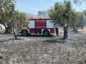 Προφυλακιστέος κρίθηκε  ο 73χρονος στον Πύργο για εμπρησμούς