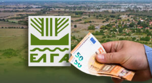 Αγρότες: Λεφτά στην τράπεζα – Ποιους αφορά η νέα πληρωμή