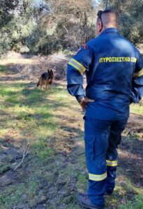 Εντοπίστηκε περιπατητής που χάθηκε σε δάσος της Άρτας